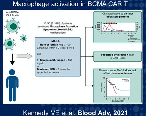 ASCO 2022: CAR T For Prostate Cancer: Current Strategies To Improve ...